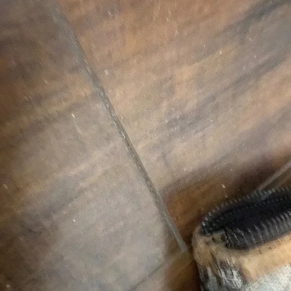 🛑  GUCCI Web Sherry Line GG Plus Tote - Picture 9 of 12